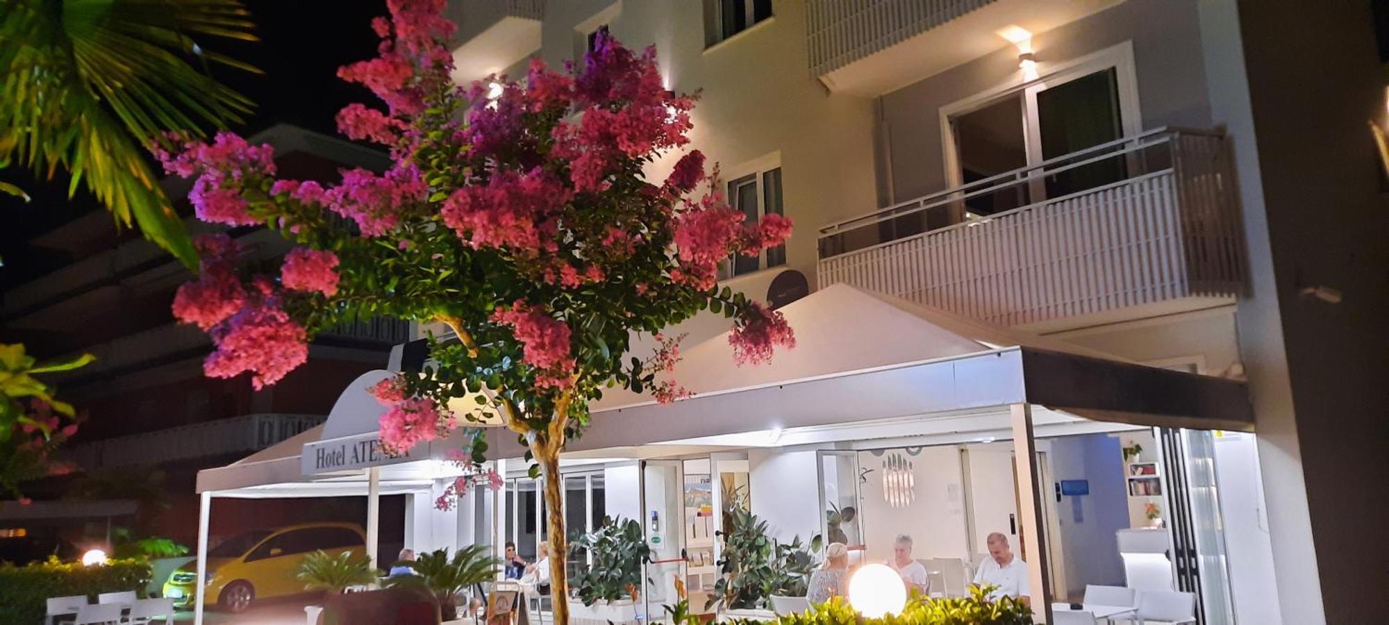 Hotel Atenea Golden Star كاوْرلي المظهر الخارجي الصورة